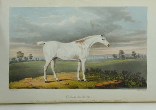 The Sporting Repository, containing Horse Racing, Hunting, Coursing, Shooting, Archery, Trotting and Tandem Matches, Cocking, Pedestrianism, Pugilism, Anecdotes on Sporting Subjects