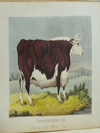 The Sporting Repository, containing Horse Racing, Hunting, Coursing, Shooting, Archery, Trotting and Tandem Matches, Cocking, Pedestrianism, Pugilism, Anecdotes on Sporting Subjects