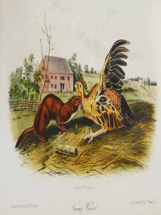 The Quadrupeds of North America