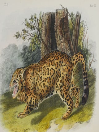 The Quadrupeds of North America