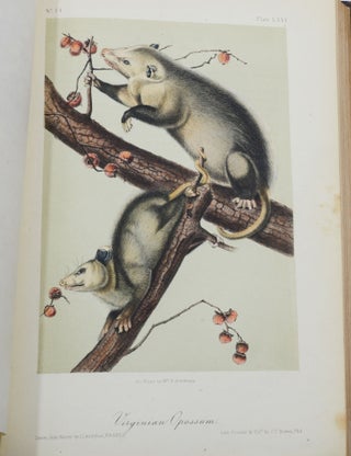 The Quadrupeds of North America