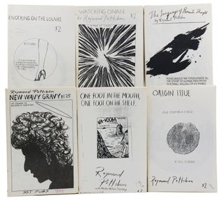 A collection of 21 artist's books by Raymond Pettibon