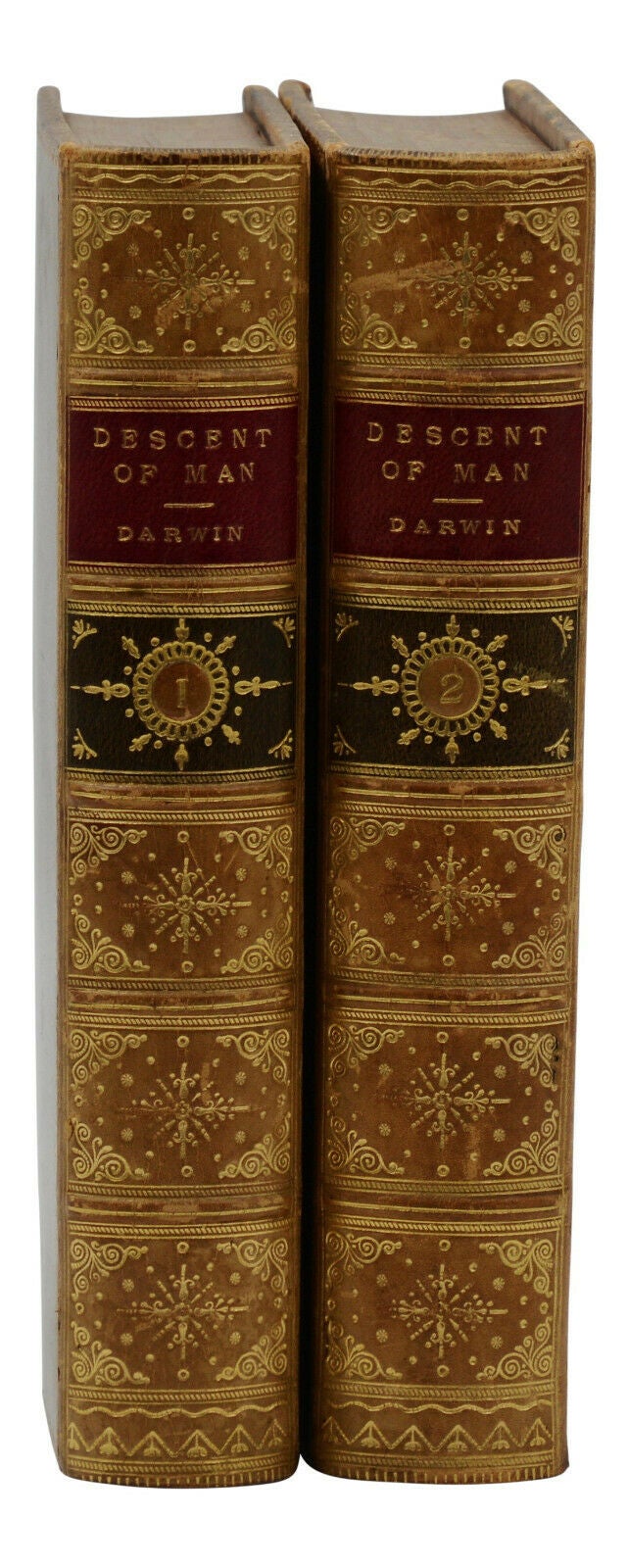 The Descent of Man, and Selection in Relation to Sex | Charles Darwin |  First Edition