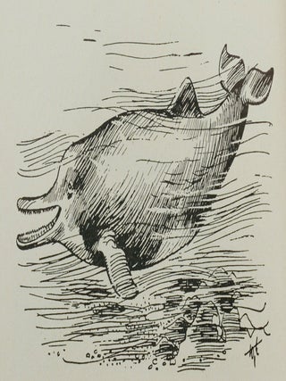 Von neuen und unentdeckten tierarten (On New and Undiscovered Animal Species)