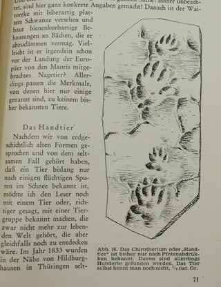 Von neuen und unentdeckten tierarten (On New and Undiscovered Animal Species)