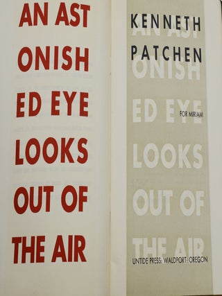 An Astonished Eye Looks Out of the Air