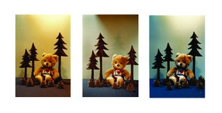The Stuffed Bear Photography of Gloria Alten
