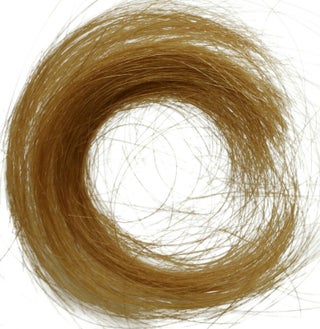 Item #140941147 A lock of Richard Brautigan's hair that he sent to his girlfriend. Richard Brautigan