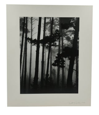 Voyage of the Eye (with original silver gelatin photograph "Pines in Fog")
