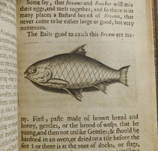 The Compleat Angler