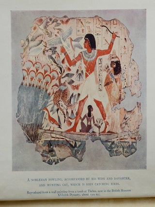 A History of the Egyptian People: With Chapters on Their Religion, Daily Life, etc.