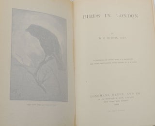 Birds in London