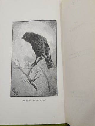 Birds in London