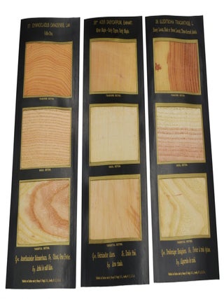 The American Woods, Exhibited by Actual Specimens and with Copious Explanatory Text
