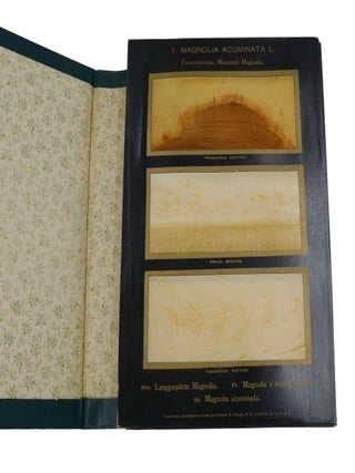 The American Woods, Exhibited by Actual Specimens and with Copious Explanatory Text