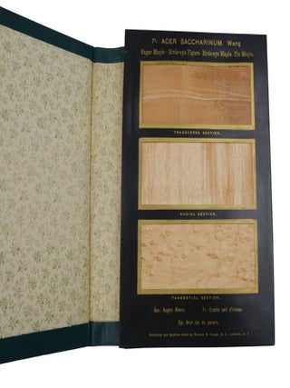 The American Woods, Exhibited by Actual Specimens and with Copious Explanatory Text
