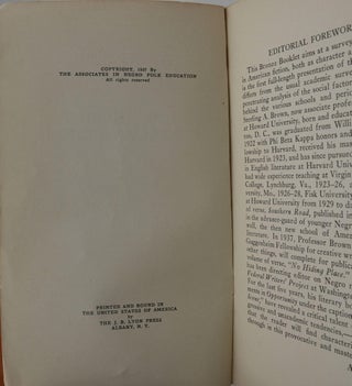 The Negro in American Fiction