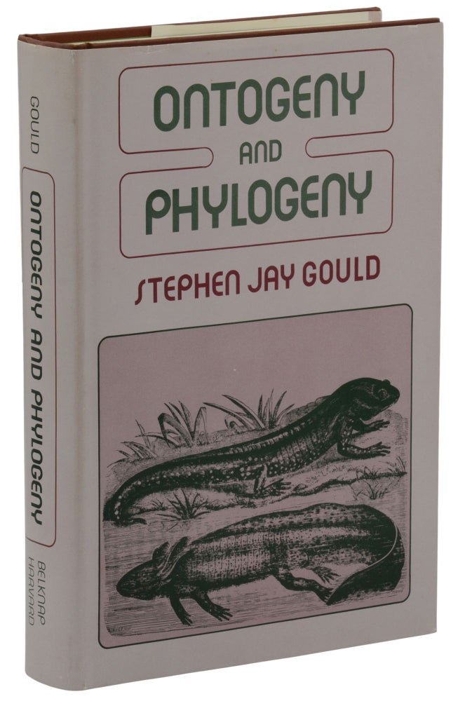 Item #140943537 Ontogeny and Phylogeny. Stephen Jay Gould.
