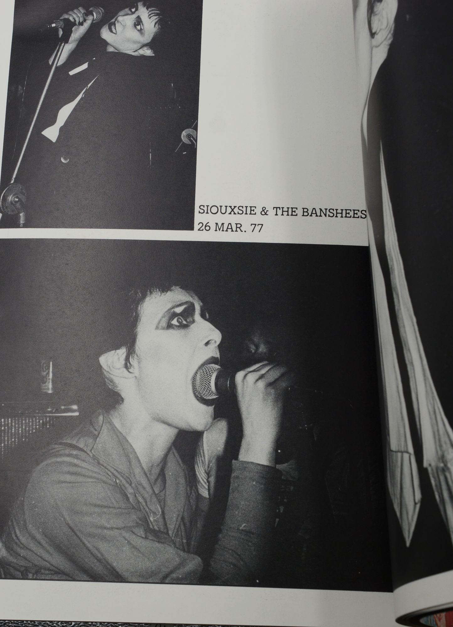 Punk Rock 100 Nights at the Roxy | Michael Dempsey | First Edition