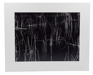 Brett Weston: Photographs from Five Decades (with print "Reeds, Oregon")