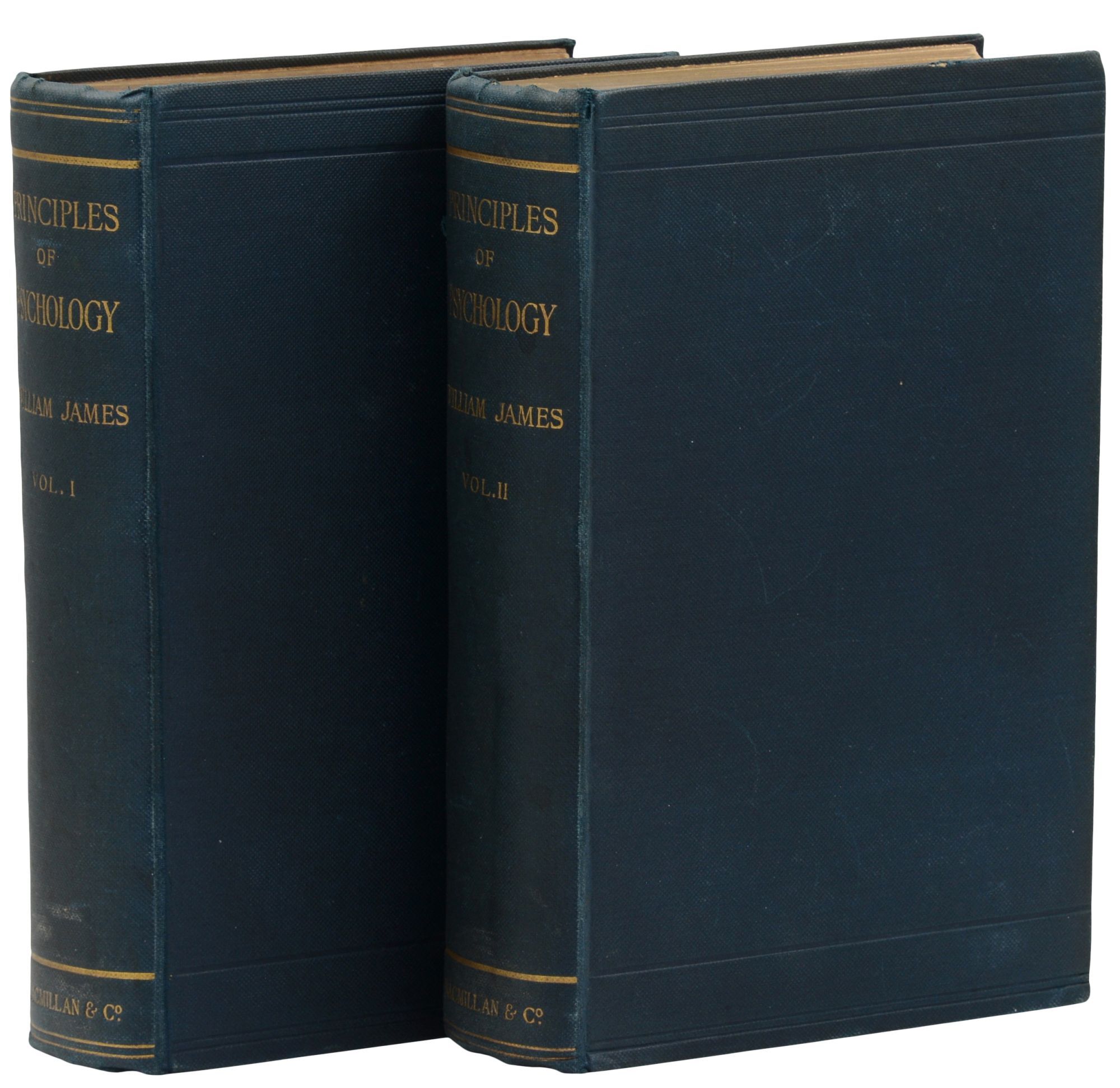 The Principles Of Psychology William James First British Edition The principles of psychology william james first british edition