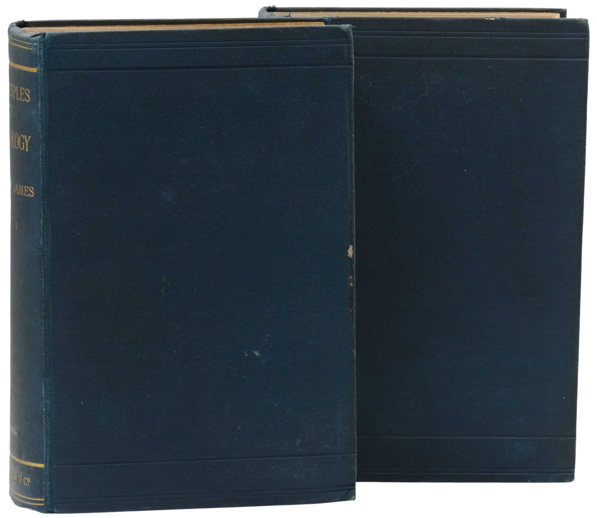 The Principles Of Psychology William James First British Edition The principles of psychology william james first british edition