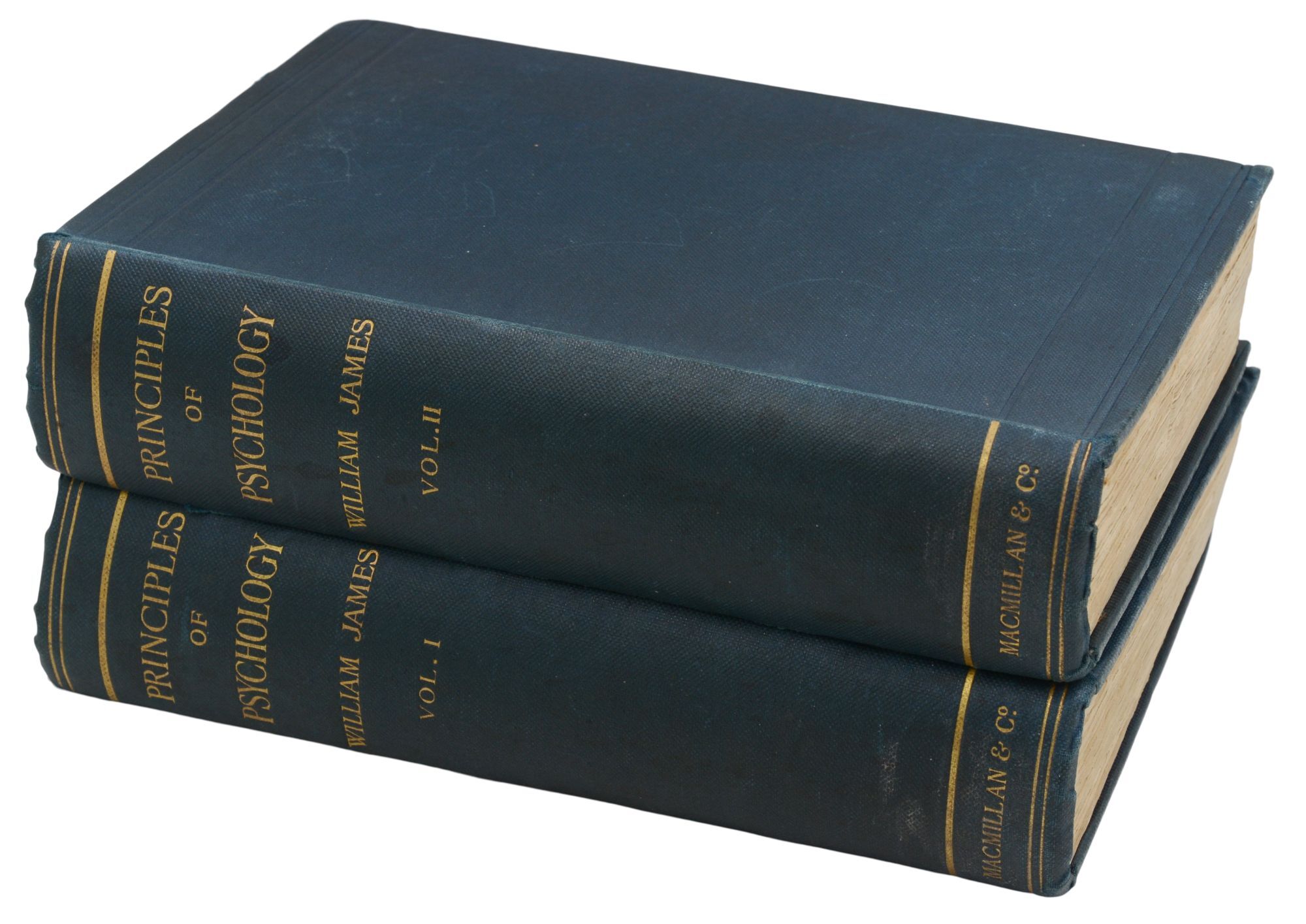 The Principles Of Psychology William James First British Edition The principles of psychology william james first british edition