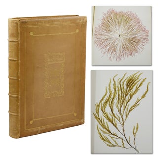 Item #140944477 (Herbarium) Beautiful Seaweeds, Illustrated by Natural Specimens. Also,...
