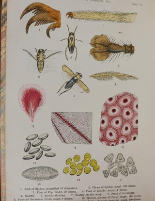 Microscope Teachings: Descriptions of Various Objects of Especial Interest and Beauty Adapted for Microscopic Observation