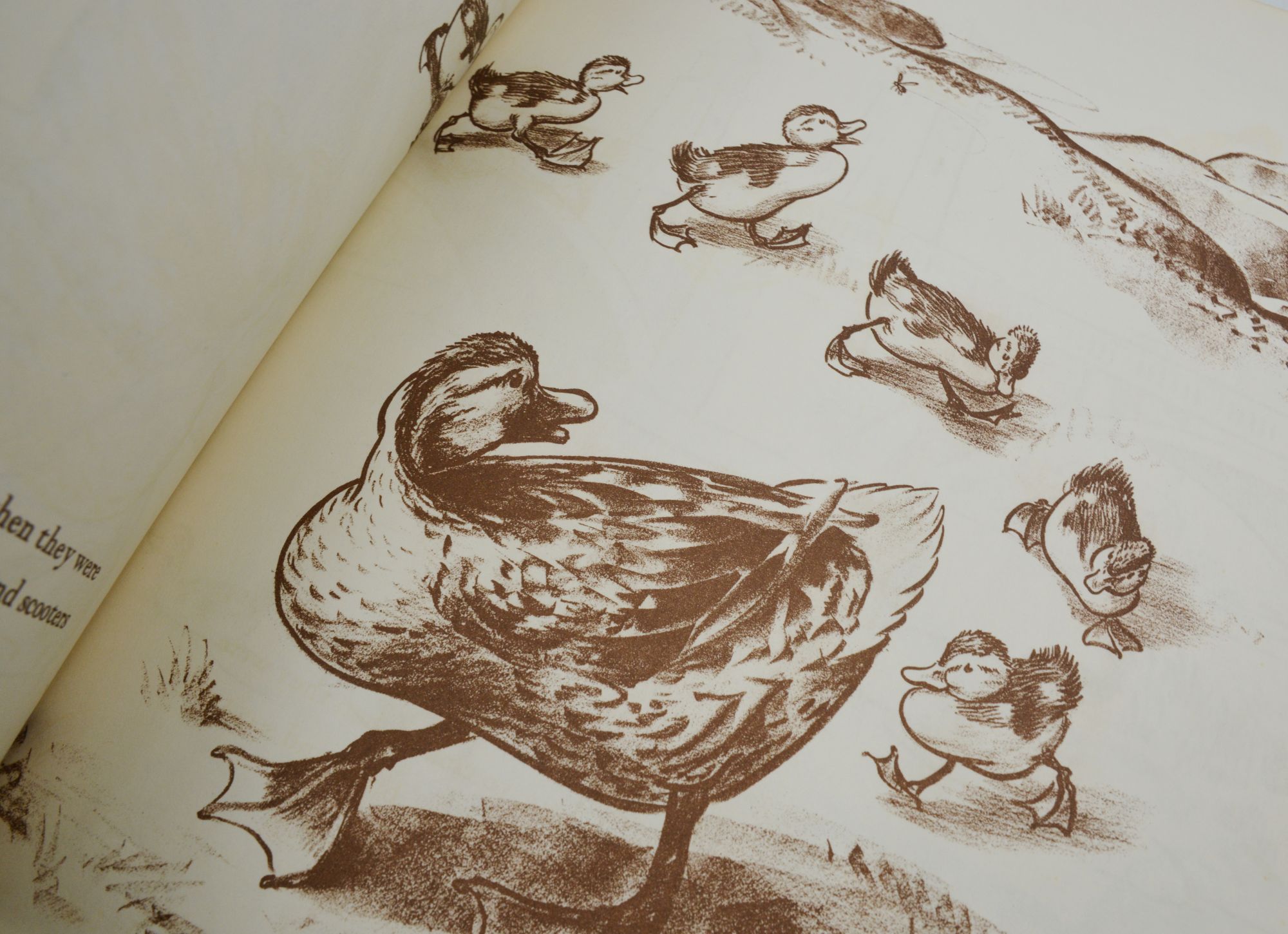 Make Way for Ducklings by Robert McCloskey on Burnside Rare Books