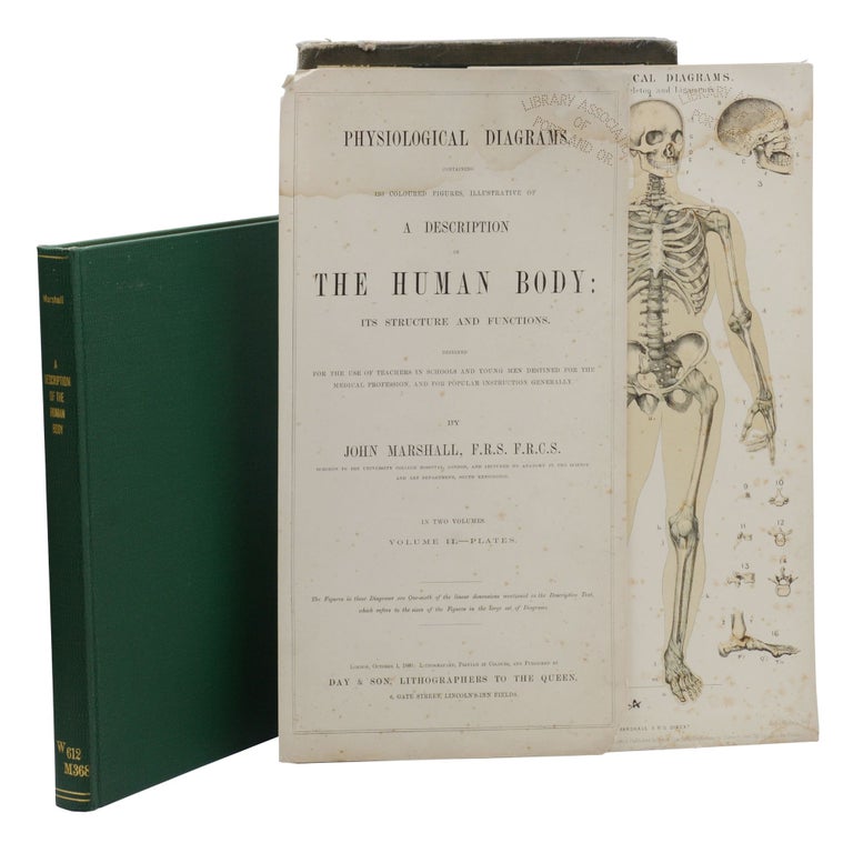 Item #140944984 A Description of the Human Body: Its Structure & Functions Illustrated by Nine Physiological Diagrams, Containing 193 Coloured Figures, Designed for the Use of Teachers in Schools, and Young Men Destined for the Medical Profession, and for Popular Instruction Generally. John Marshall.