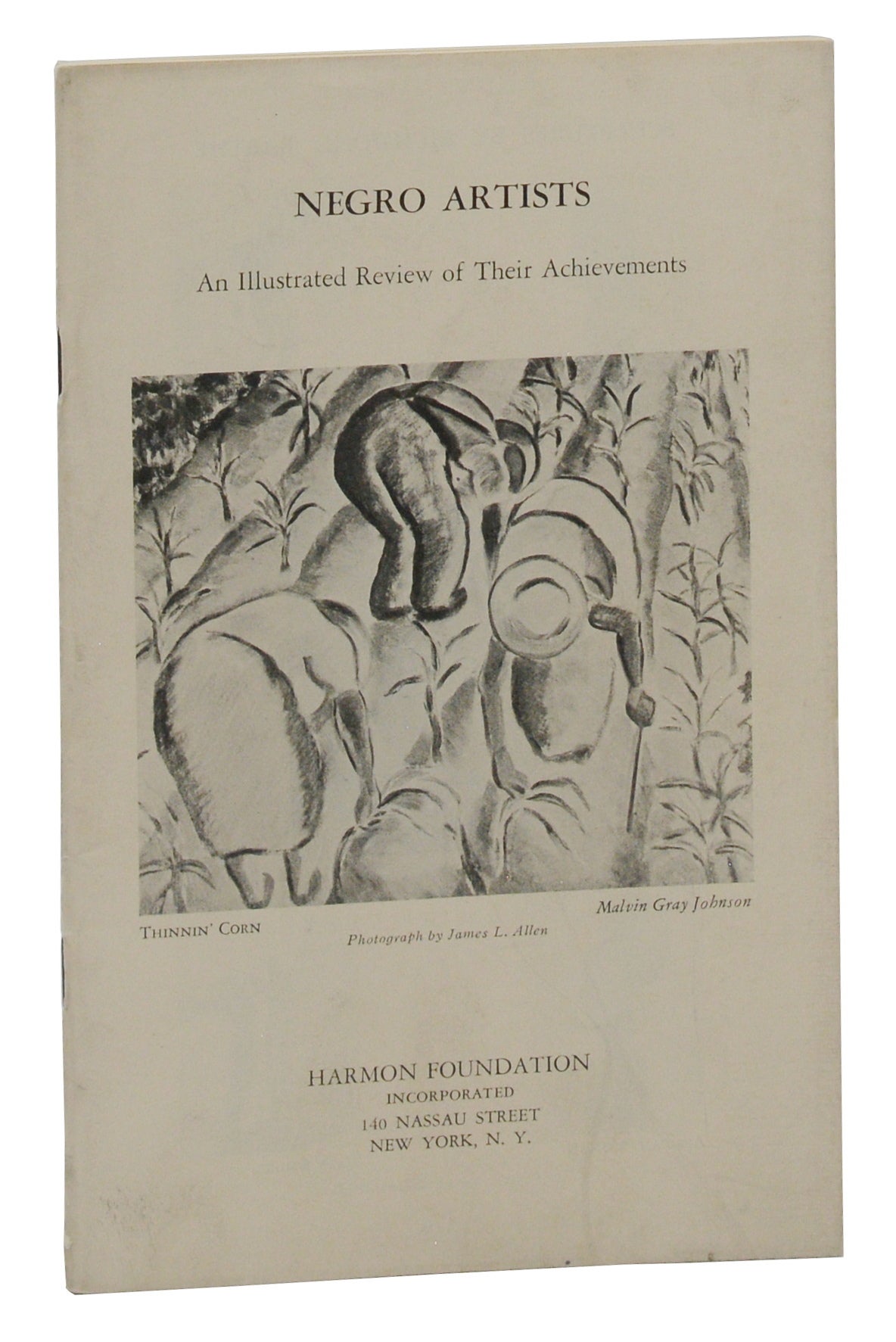Grey Johnson Negro Artists: An Illustrated Review of Their Achievements, Including ...