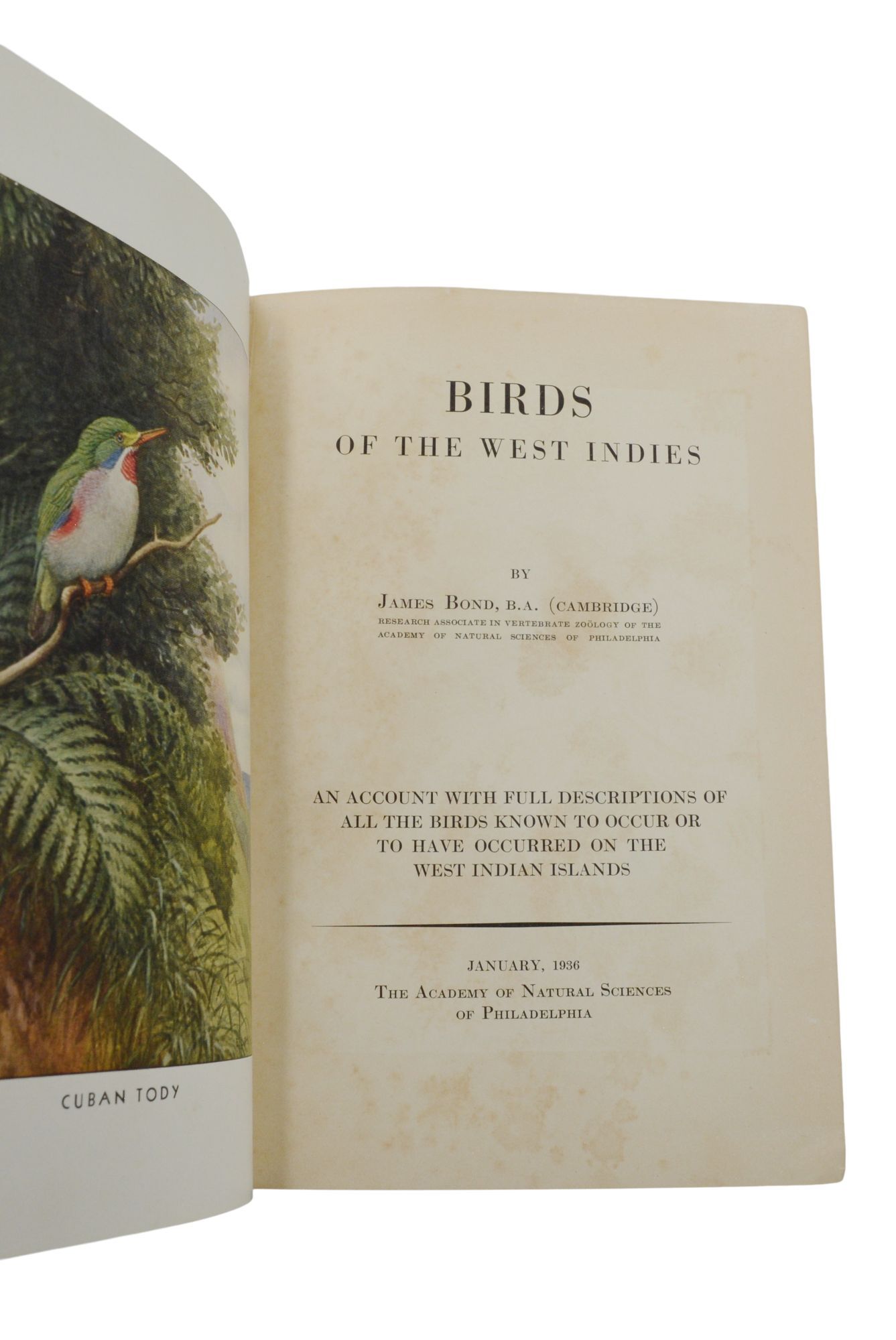 Field Guide to Birds of the West Indies | James Bond | First Edition