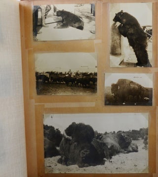 Photographic archive of a jet-setting White Russian lothario