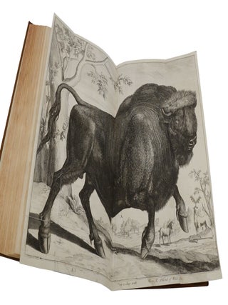The Commentaries of Caesar, Translated into English. To which is Prefixed a Discourse Concerning The Roman Art of War.