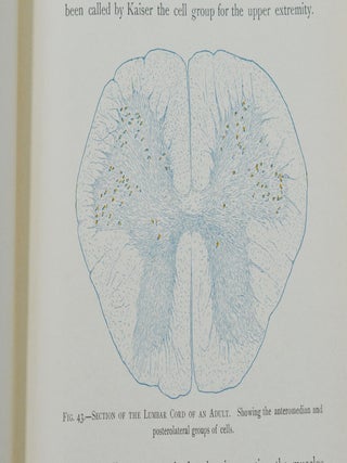 The Gross and Minute Anatomy of the Central Nervous System