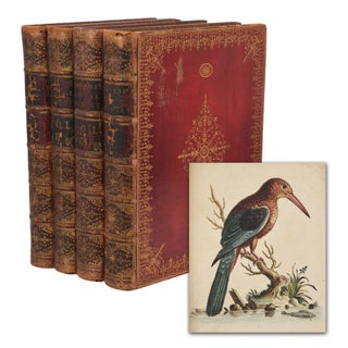 Item #140946153 A Natural History of Uncommon Birds - Gleanings of Natural History Exhibiting...
