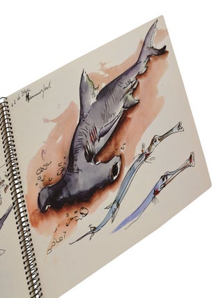 The Israel Sketchbooks