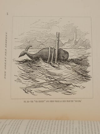Sea Monsters Unmasked: Handbook Issued in Connection with the Great International Fisheries Exhibition