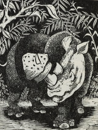 How the Rhinoceros Got His Wrinkled Skin
