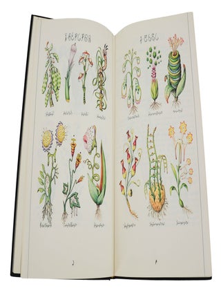 Codex Seraphinianus
