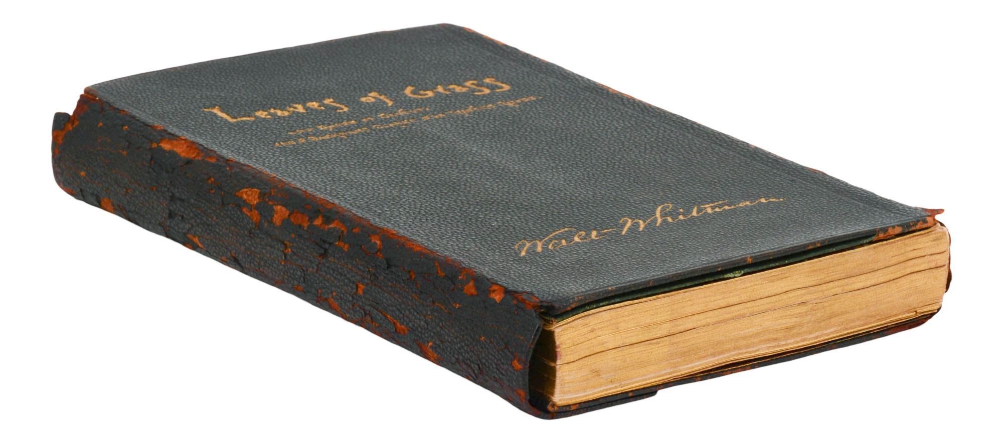 Leaves of Grass | Walt Whitman