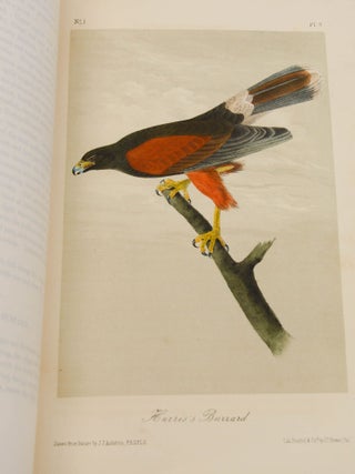 The Birds of America, from Drawings Made in the United States and Their Territories