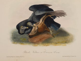 The Birds of America, from Drawings Made in the United States and Their Territories