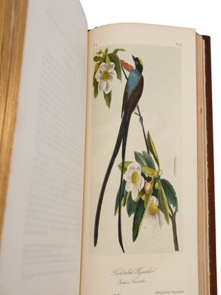 The Birds of America, from Drawings Made in the United States and Their Territories