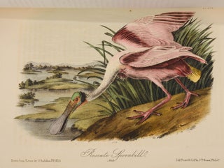 The Birds of America, from Drawings Made in the United States and Their Territories