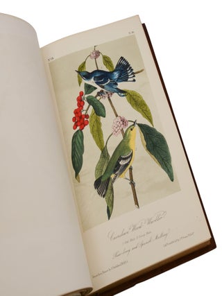 The Birds of America, from Drawings Made in the United States and Their Territories