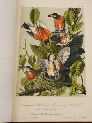 The Birds of America, from Drawings Made in the United States and Their Territories