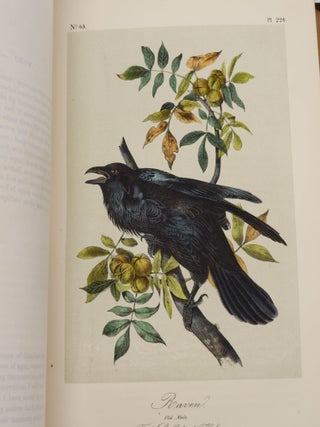 The Birds of America, from Drawings Made in the United States and Their Territories