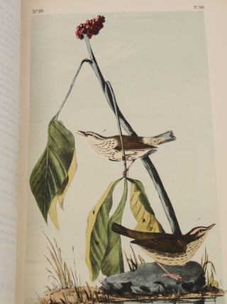 The Birds of America, from Drawings Made in the United States and Their Territories
